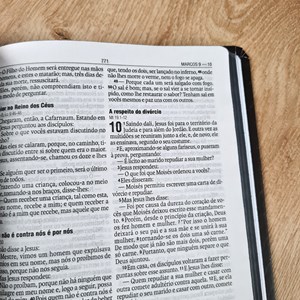 Bíblia Leão Preto e Branco | NAA | Letra Normal | Capa Dura Ilustrada