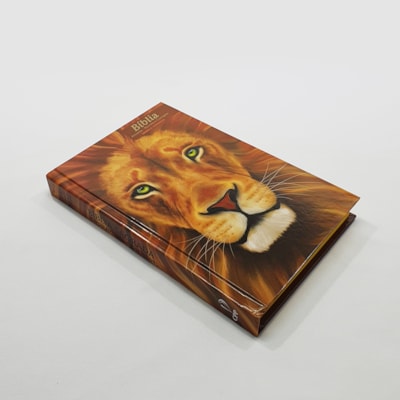 image_46adc372-3077-4a69-94a3-0f0776277c8e