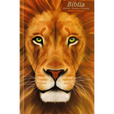 Imagem Principal - f6c5bb19-e942-4d5d-8877-74cb5da0aa9c