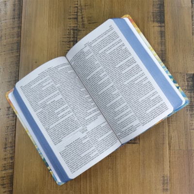 image_63deb9e7-7ec8-4013-9fd4-aa22dcd85fa5