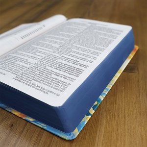 Bíblia Leão Sunset | ARC | Letra Grande | Capa Dura | Harpa Avivada e Corinhos