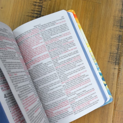 image_7e746a9f-c0ae-4592-92e7-d1075da5ab2e