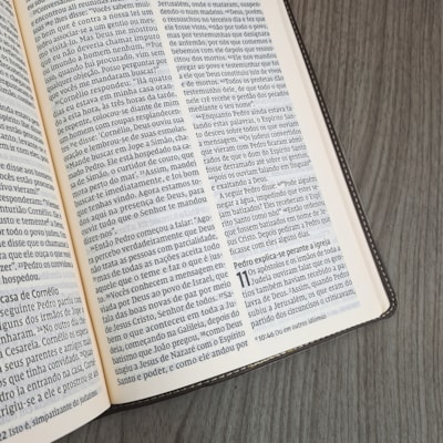 image_921e6bbe-8557-4257-a12b-852b5dfa5ae8