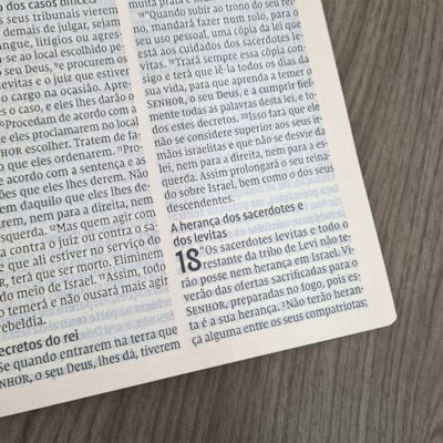 image_c8254d63-d32e-4025-8fe8-5dd6dadb6a38