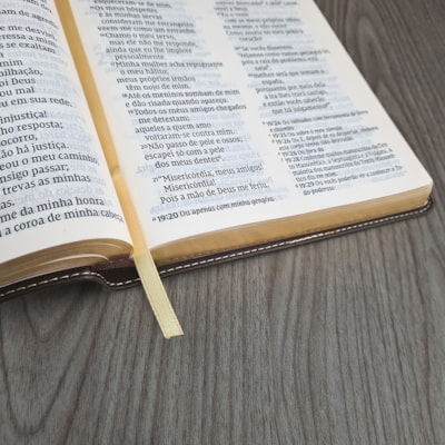 image_a35c8cca-9d78-4db2-8000-1c320d7dde4f