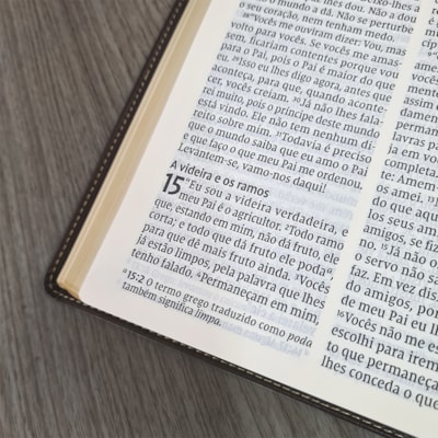 image_6046104b-0383-4a19-bcdf-08c349388722