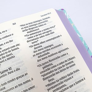 Bíblia Leitura Perfeita NVI | Letra Gigante | Raminhos