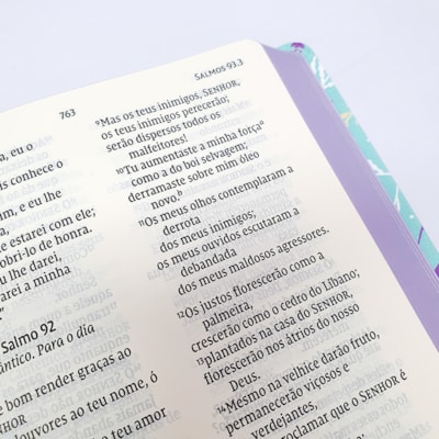 image_694e1535-bcff-4023-b839-94a7d6efdd4d