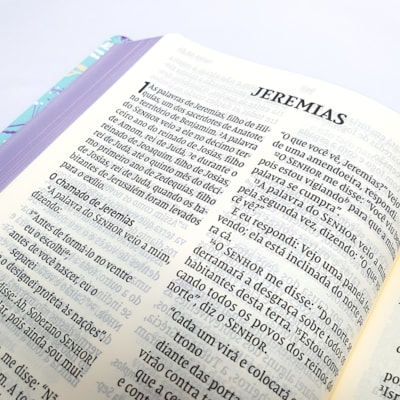 image_a02247e2-f552-4458-8e24-ce0c61b947b6