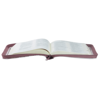 image_38430ea6-aa60-4c4b-af7c-2d0009661154