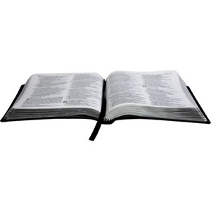 Bíblia Lettering Jesus Copy | NAA | Capa Flexível | Luxo Chumbo