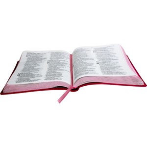 Bíblia Lettering Jesus Copy | NAA | Capa Flexível | Luxo Rosa