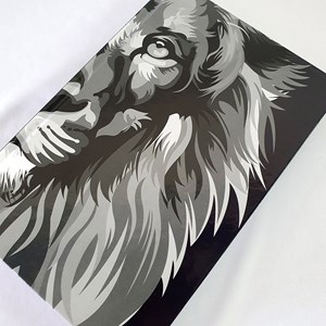 Bíblia Lion Colors Black and White POP | NVT | Letra Normal | Capa Dura