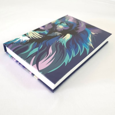 image_e622091c-a9ea-4087-82da-de61dd2a51d5