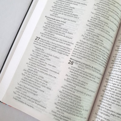 image_4bf345b8-7017-45d2-ab8d-035f0ddbc3b9