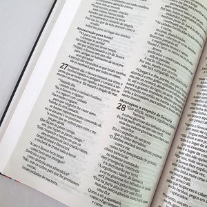 Bíblia Lion Colors Cool POP | NVT | Letra Normal | Capa Dura
