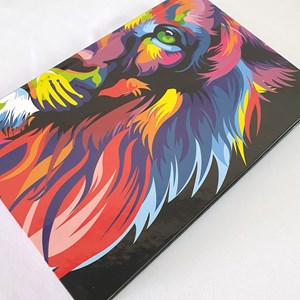 Bíblia Lion Colors POP | NVT | Letra Normal | Capa Dura