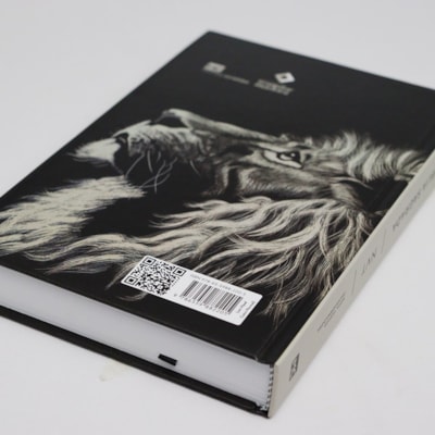 image_38a6d083-942a-42ec-8340-3cdf0e998c2c