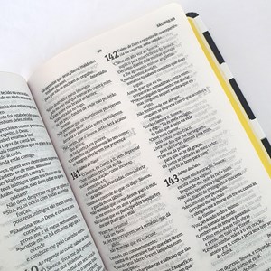 Bíblia Listrada | NVT | Letra Normal | Capa Dura
