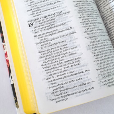 image_67feb708-564b-4e5e-81e2-832fa2f90be3