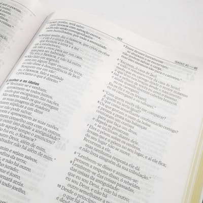 image_8a15202a-df2d-40d8-91de-2182e8f7d631