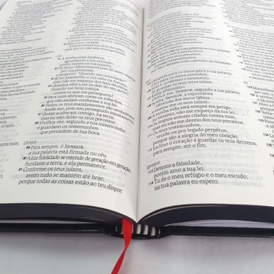 image_73a1233c-1c7c-4e13-9e02-cebc0e7f192d