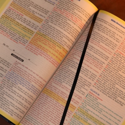 image_006d183d-9467-4e56-aa35-70f2d5249a0f