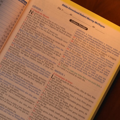 image_0adcc78d-35e9-4fe2-818e-cc1fb3eaf8a2