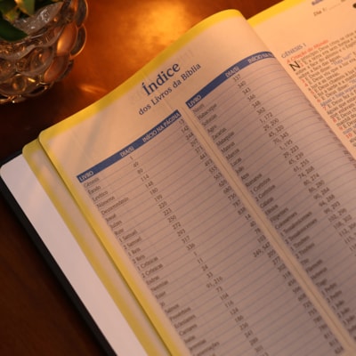 image_554a0137-ca42-47e8-bac3-2d07dd9bbd14