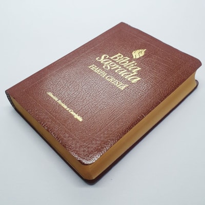 image_fbc9b241-f2aa-437b-9e31-61092b0b6cdf