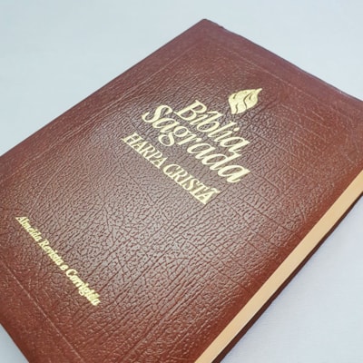 image_c7e44dac-2e6a-4eb6-97ba-cc130b640ee0