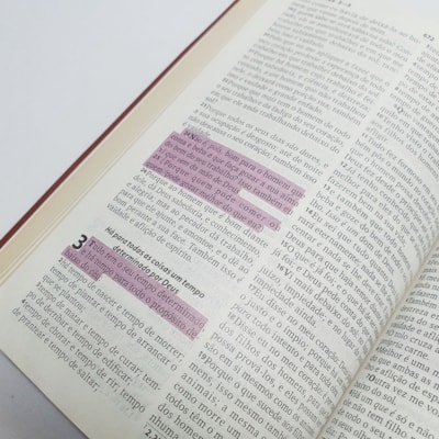 image_13624a96-3407-426b-9f94-fa30c306fbda