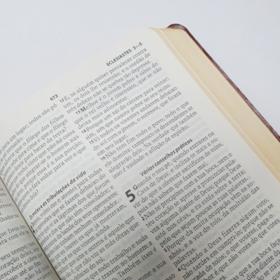 image_722a3402-56a4-4d8e-8bf0-889ca23096e1