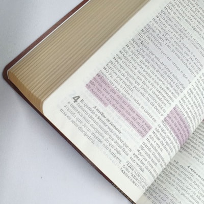 image_73afb983-44df-4dec-8d13-8d3b5430132d