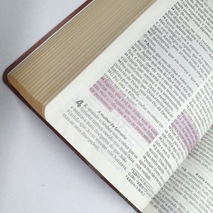 Bíblia Média Harpa Cristã | ARC | Marrom