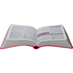 Bíblia Média Harpa Cristã | ARC | Pink