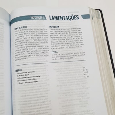 image_f0305616-1c6f-4124-b4b9-dad92a703923