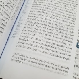 Segunda imagem do produto Bíblia Ministerial | NVI Letra Normal | Capa Marrom