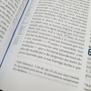 Segunda imagem do produto Bíblia Ministerial | NVI Letra Normal | Capa Marrom