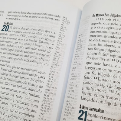 image_517e7b15-da23-4f34-8f73-d3604f45175d