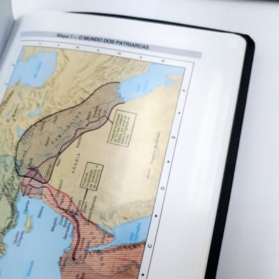 image_8983799f-4564-4445-b6d9-ef97b998827c