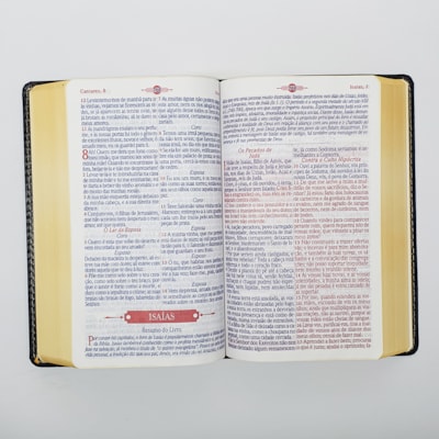 image_da4920d1-8df7-4fbe-8d10-ad726bd38127