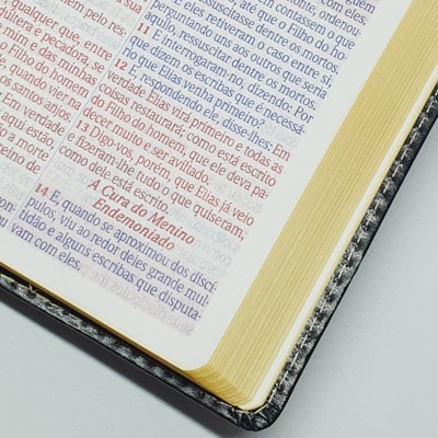 image_6464e7d2-6acf-4990-8ad9-aa42f79882ec