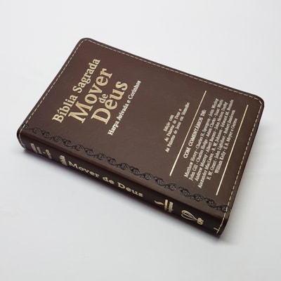 image_666269c0-5db5-4bc0-b364-5b226d55de3a