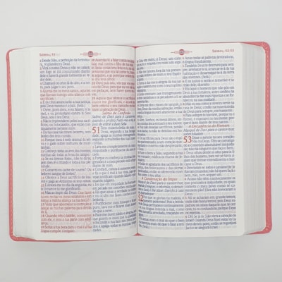 image_cbc50f06-4beb-4217-b389-db22fd691d88