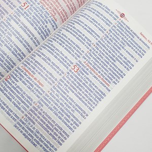 Bíblia Mover de Deus | ARC | Letra Grande | Harpa Avivada e Corinhos | Capa PU Pink