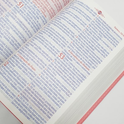 image_6f07fd9e-a3dd-4ff5-9e5b-0d6d91ec85ec