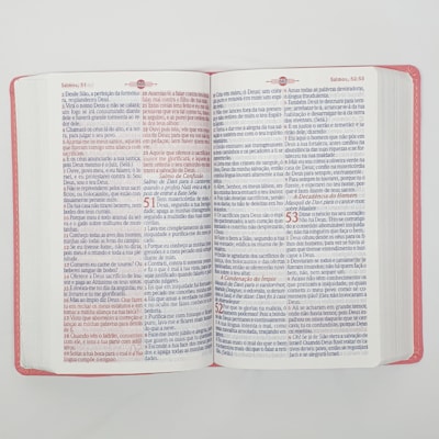 image_fafcbaa2-423a-41c7-817b-fa781e58797f