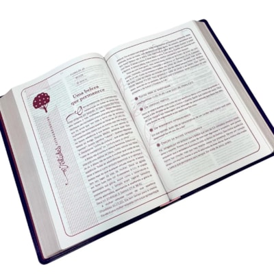 image_6859d10c-914f-4798-ab54-c1cea2df42b3