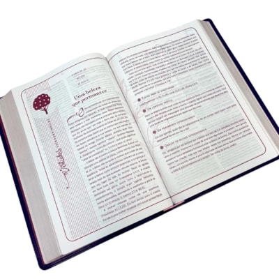 image_94b56931-1596-4591-a6fa-071c9d45a266